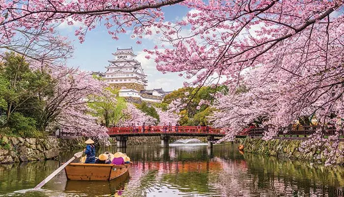 Brightsun’s Complete Guide to Japan Travel